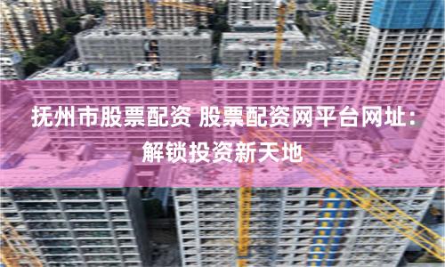 抚州市股票配资 股票配资网平台网址：解锁投资新天地