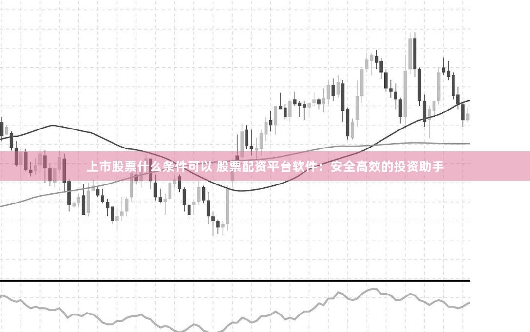 上市股票什么条件可以 股票配资平台软件：安全高效的投资助手